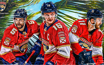 Florida Panthers image